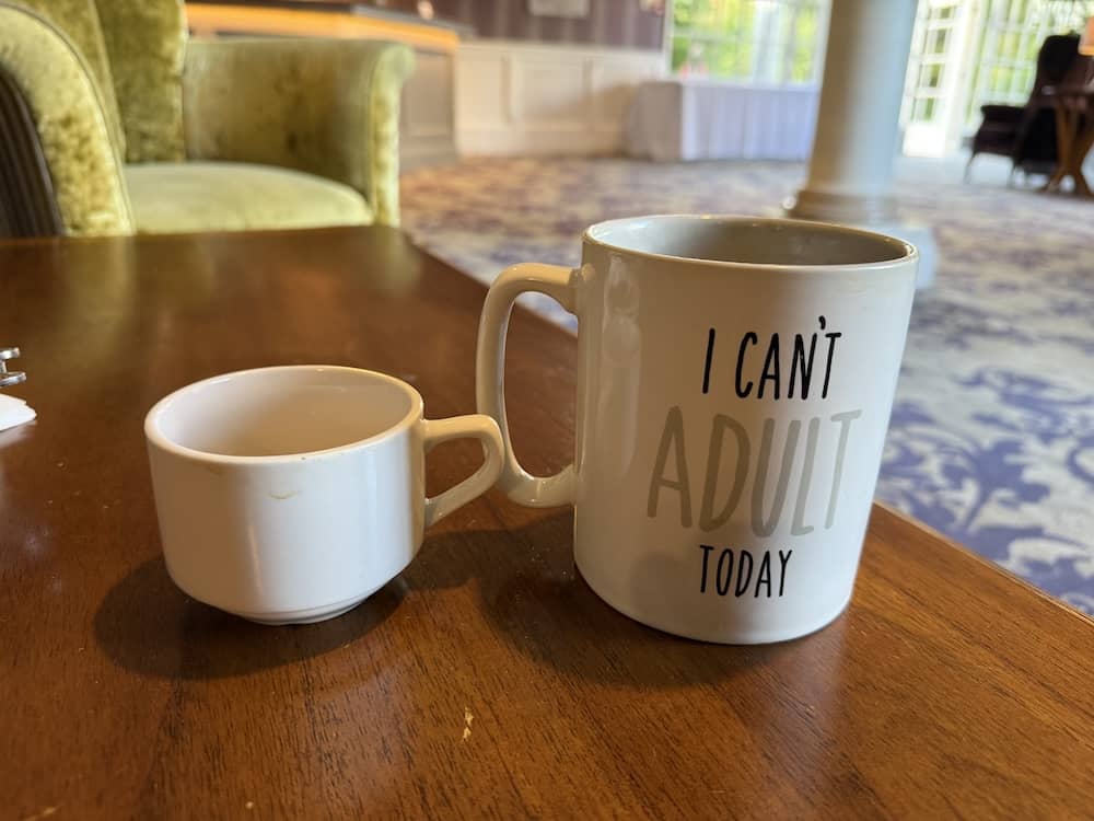 Huge cup of tea beside a normal mug at The Bridge
