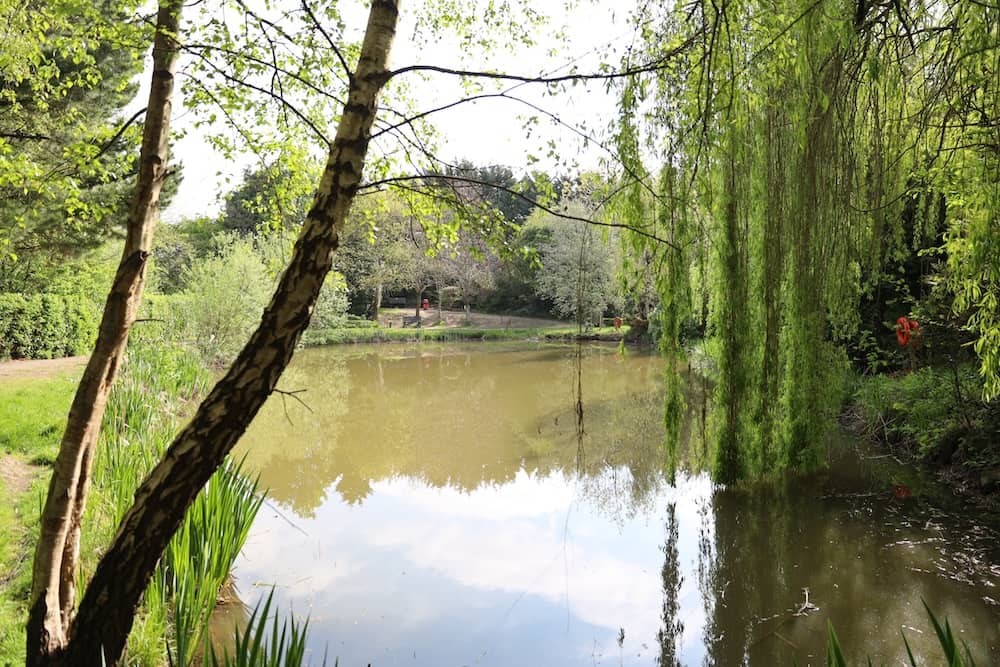 Wedding guests using Magic Mirror at Lakeside Ponderosa